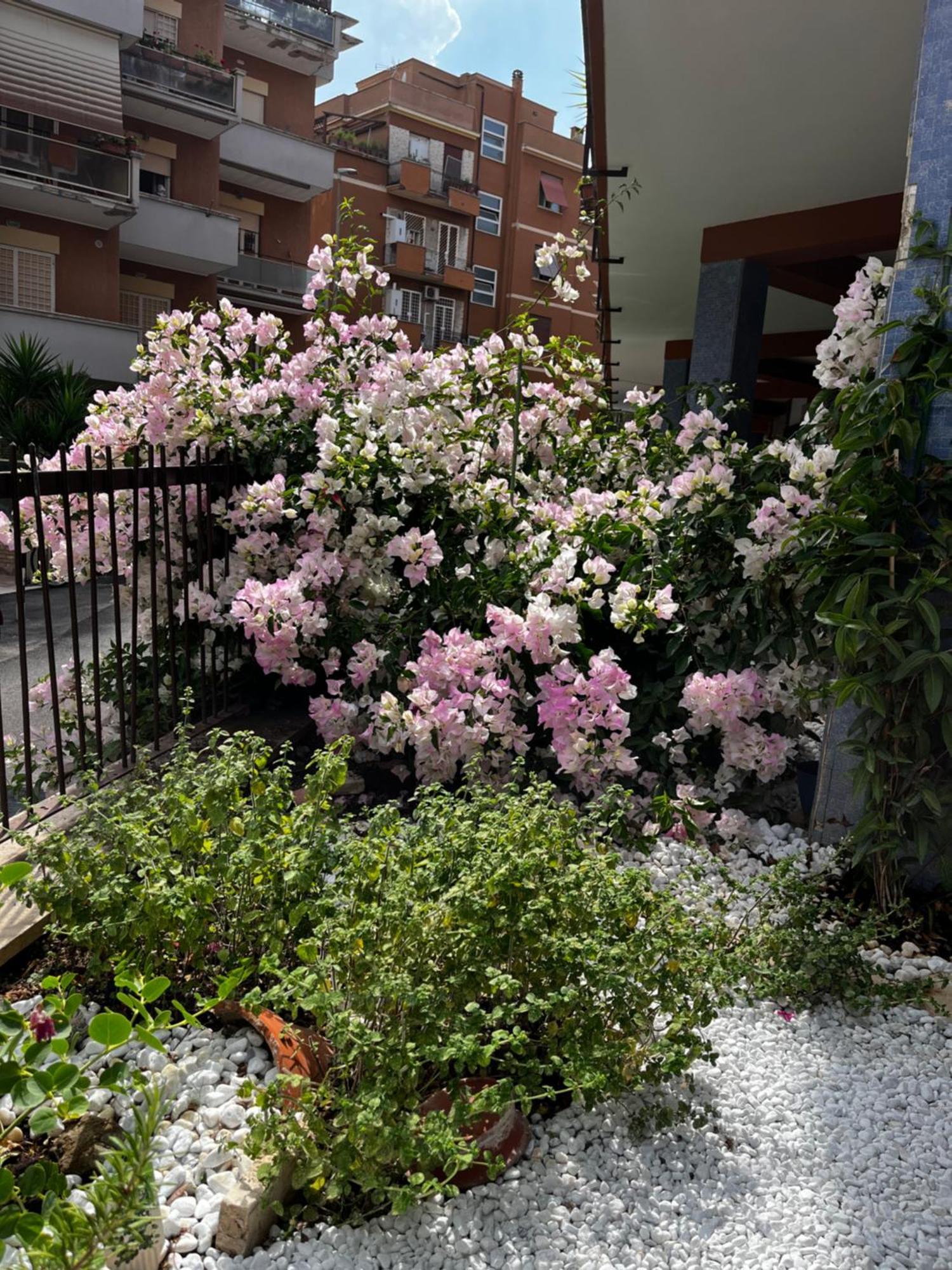 Casetta Romana ภายนอก รูปภาพ